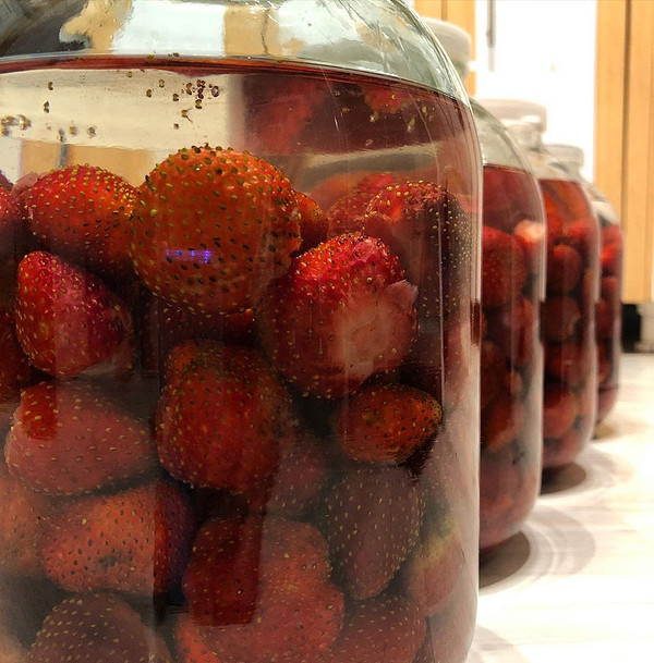 Домашняя настойка из ягод: 7 лучших рецептов