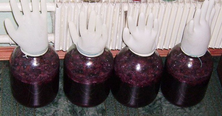 Вино из винограда Молдова в домашних условиях простой рецепт с фото