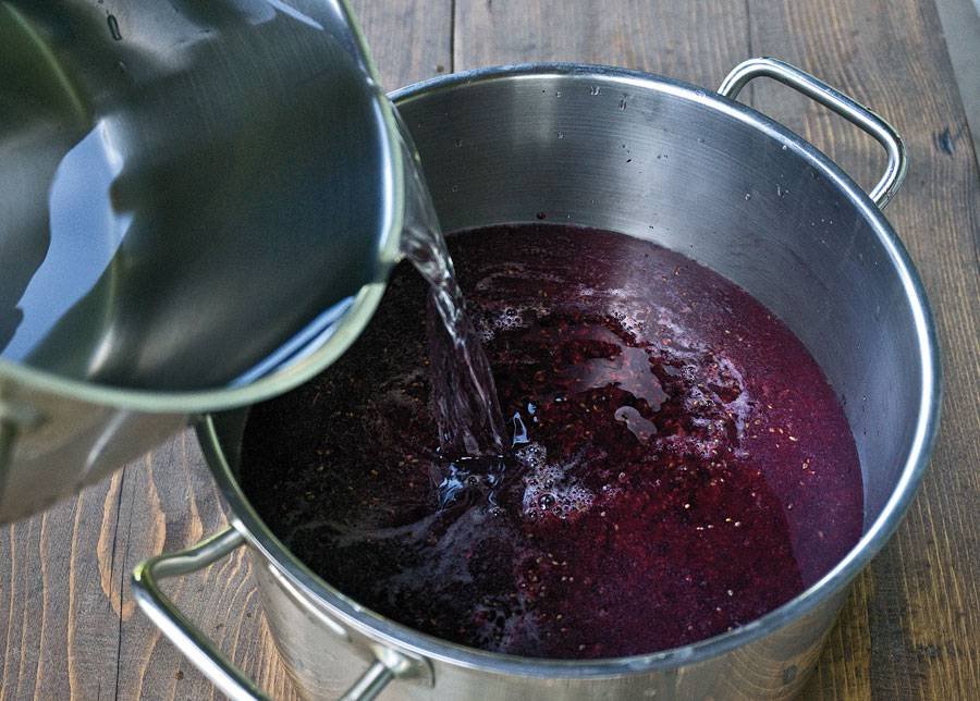 Вино из винограда с водой — простой рецепт приготовления в домашних условиях фото